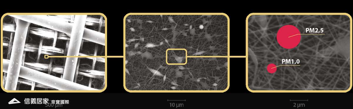 瑞士龍在顯微鏡下構造