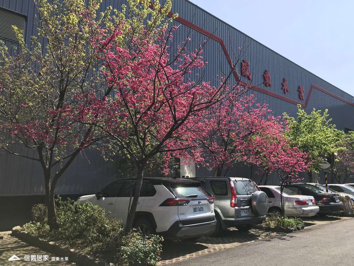 盛東X公司外觀佐櫻花照片