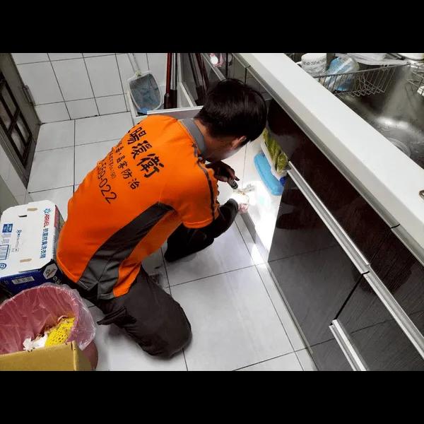 蟑螂防治