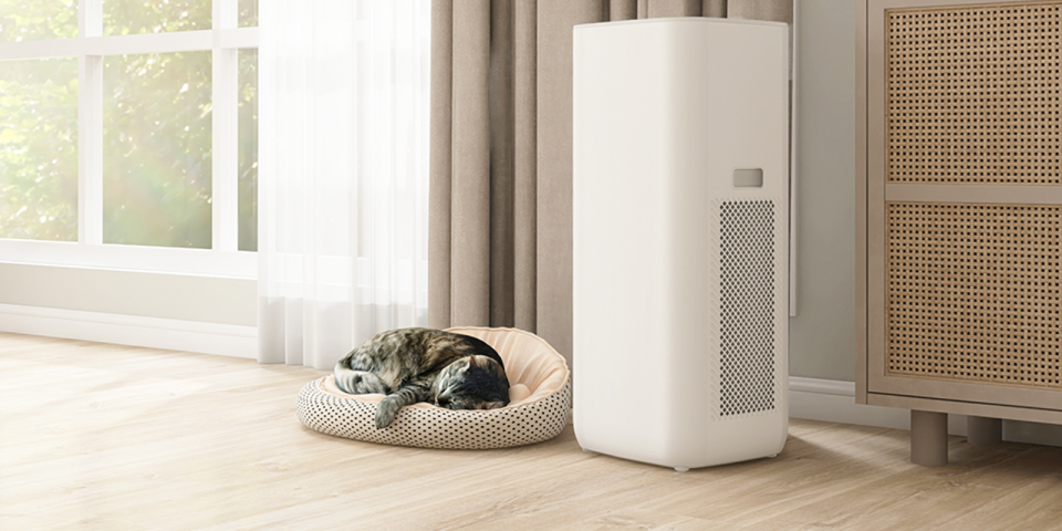 Search bar background img